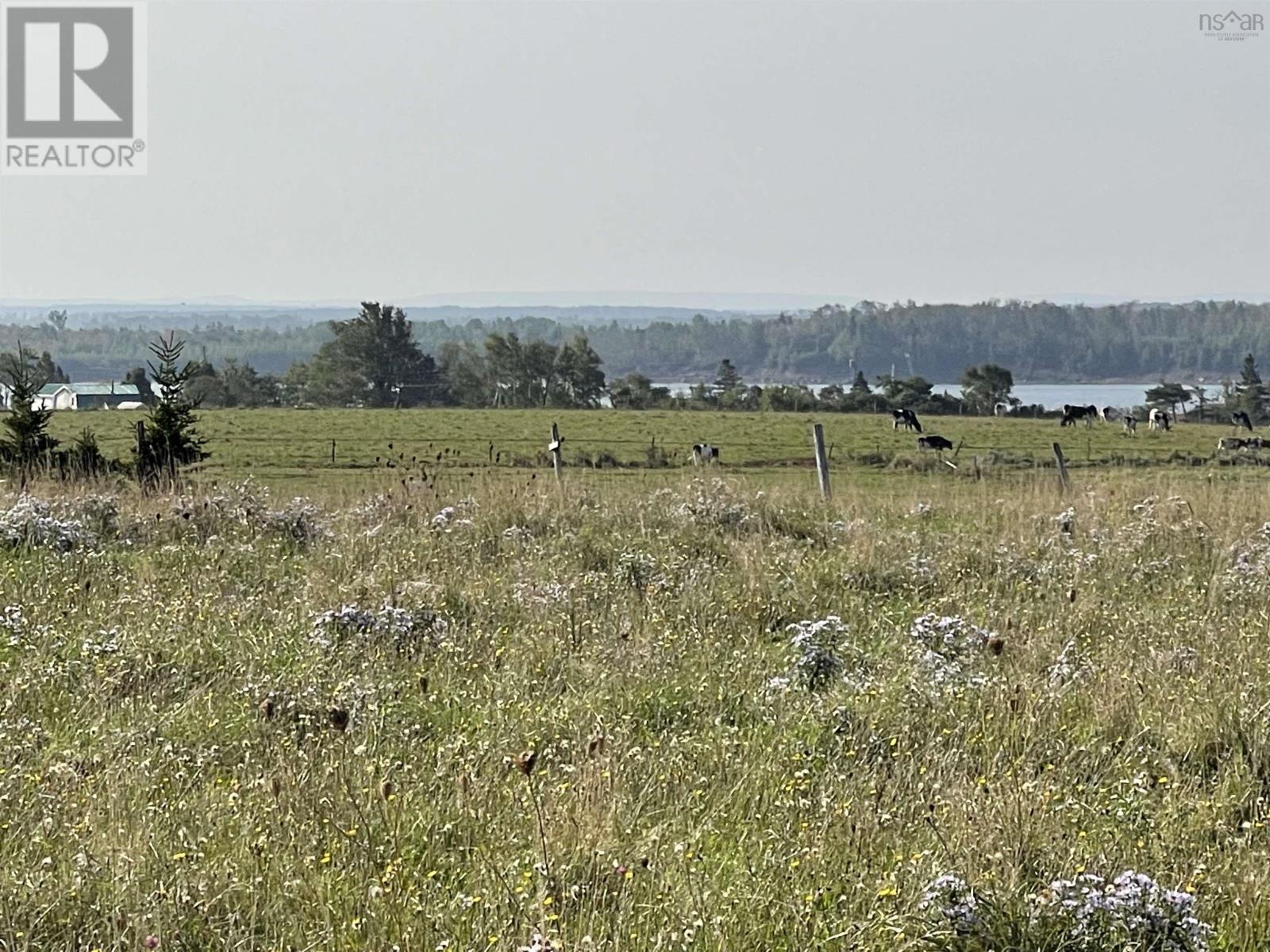 Lot 42 Pugwash Point Road Property Photo 9