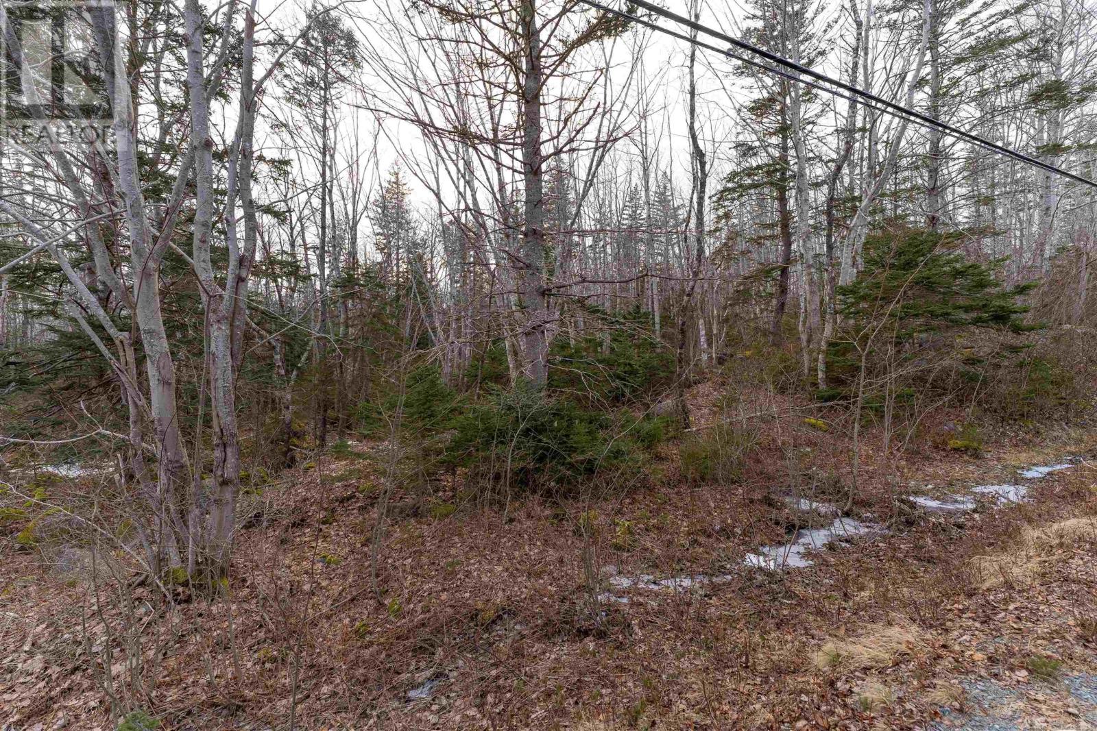 2 Port Medway Road, Port Medway, Nova Road Property Photo 5