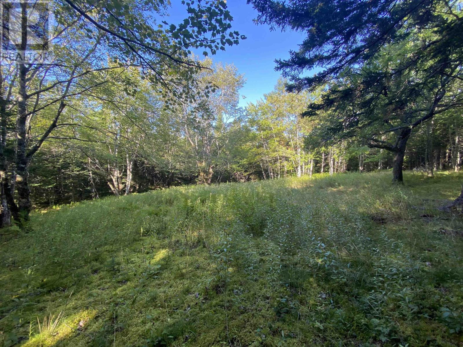 Lot Seaview Road Property Photo 9