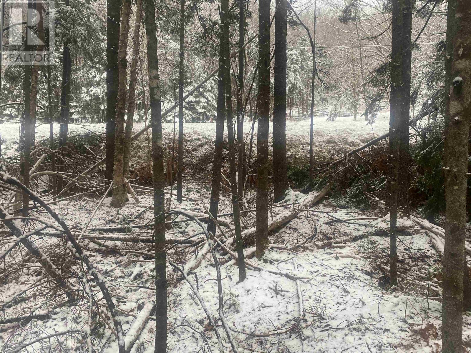 Lot 9 Highway 357 Property Photo 3
