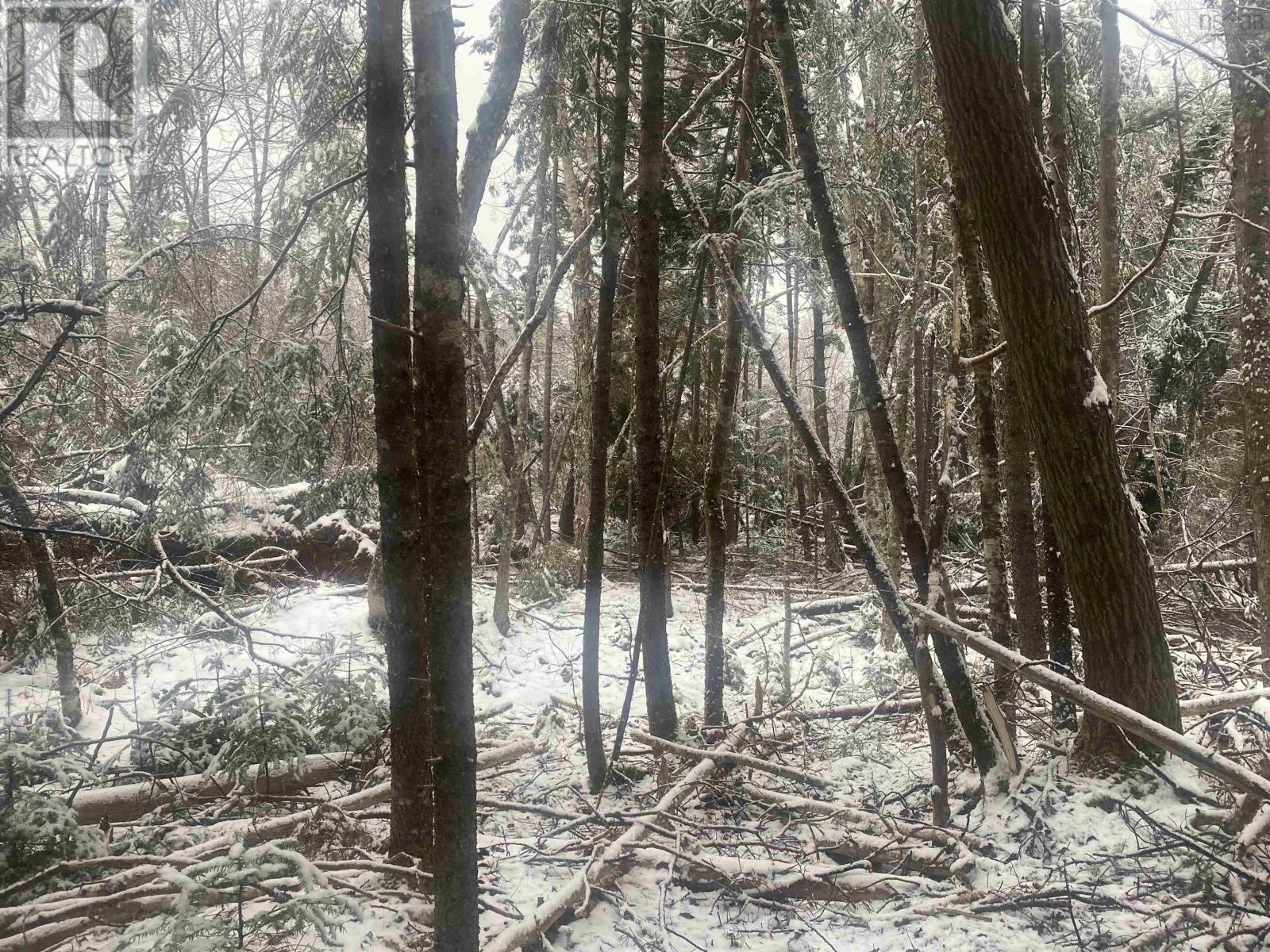 Lot 9 Highway 357 Property Photo 4