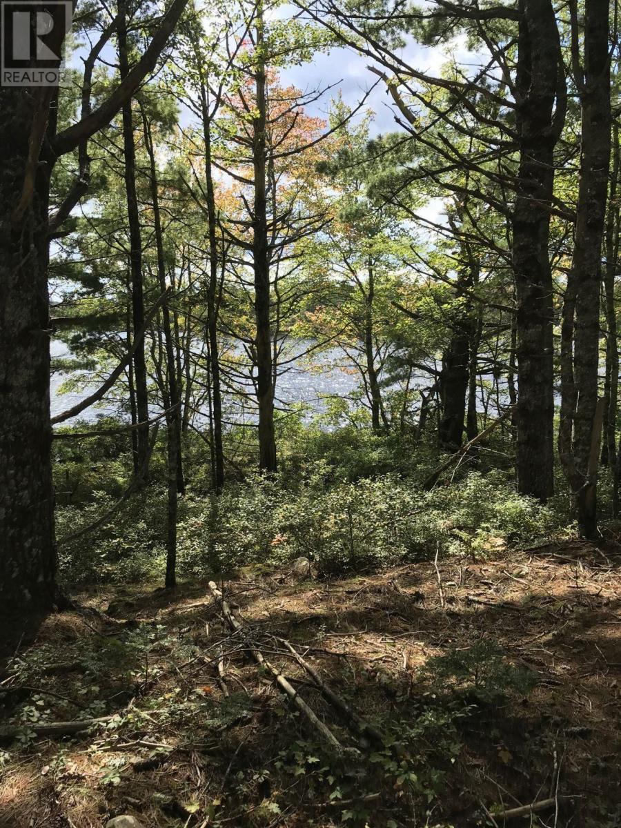 Lot D Back Lake Road Property Photo 15