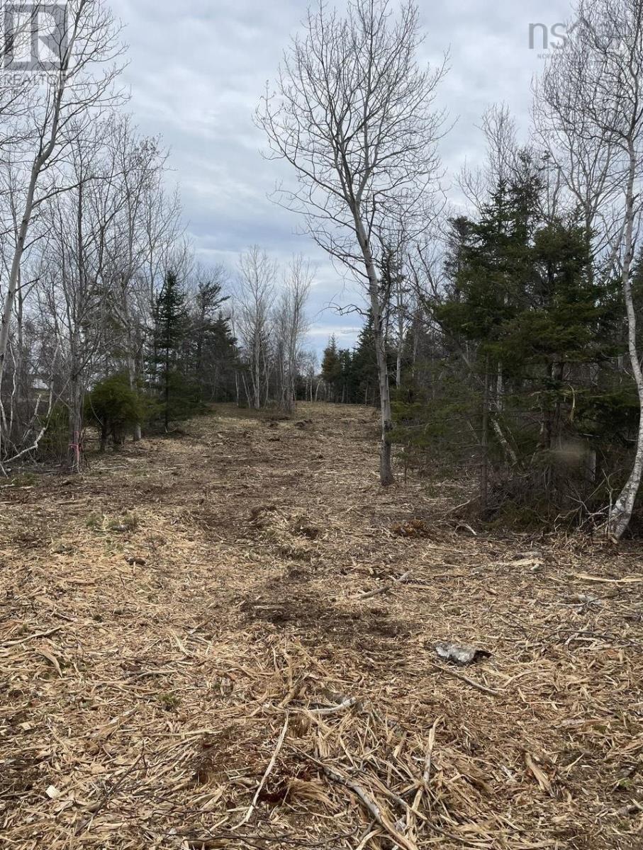 Lot 4 Shore Road Property Photo 4