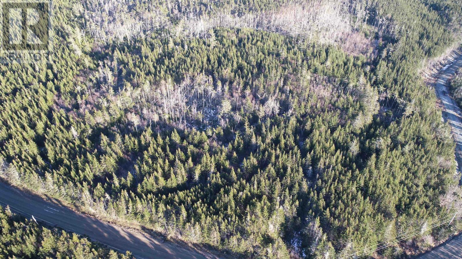 Lot 6 Pyes Head Road Property Photo 3