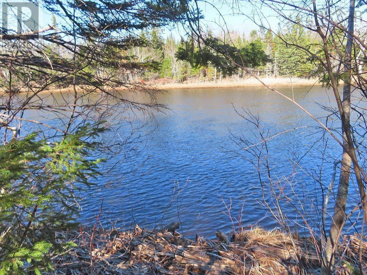 Lot5 Lower River Road Property Photo 18