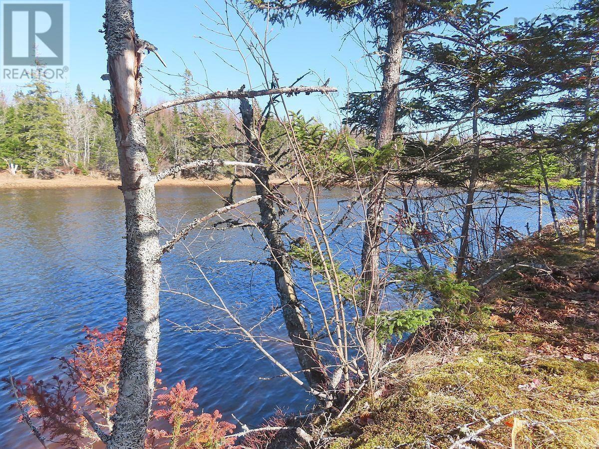 Lot5 Lower River Road Property Photo 20
