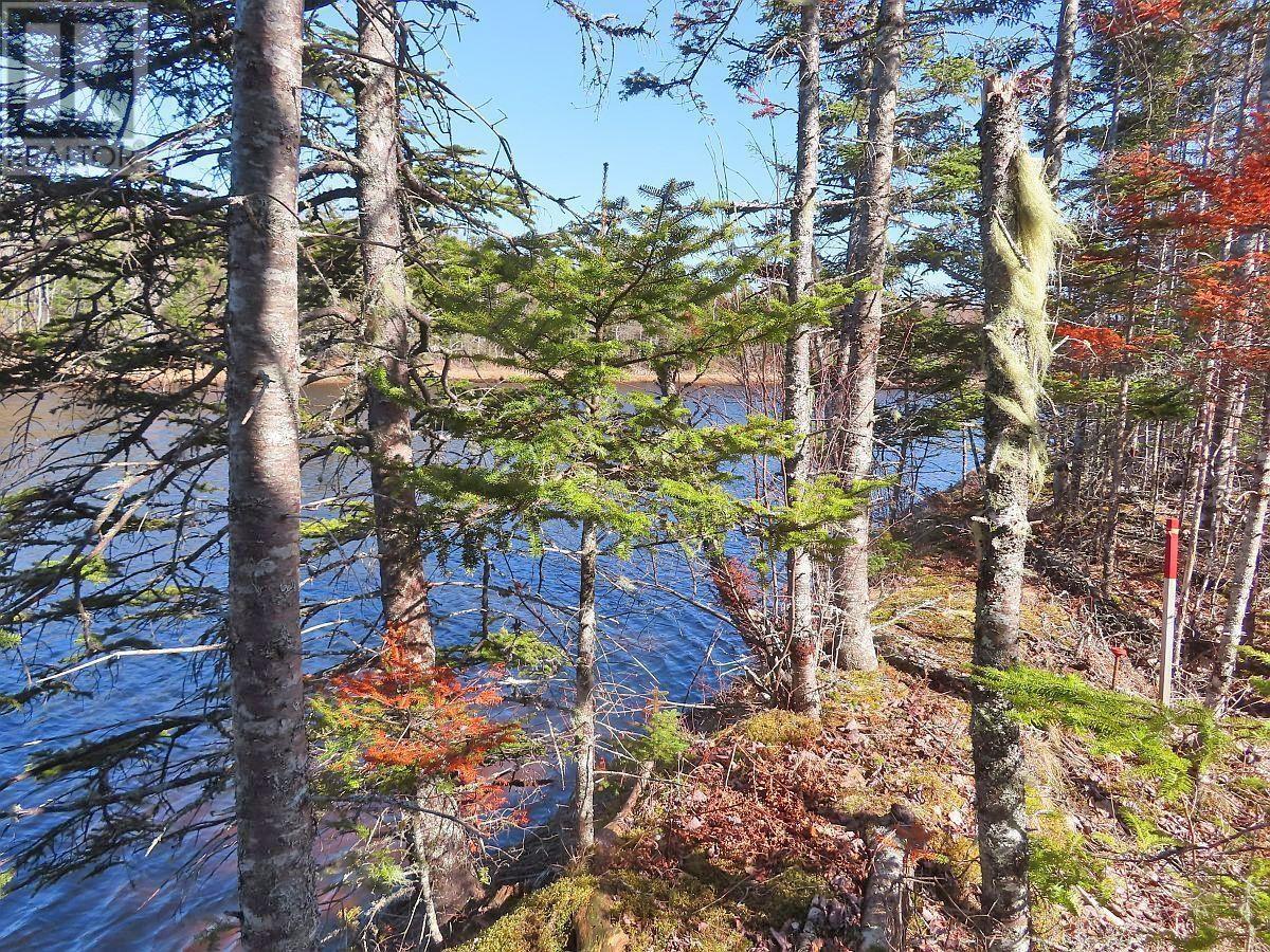 Lot5 Lower River Road Property Photo 21