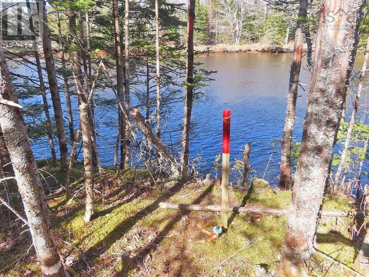 Lot5 Lower River Road Property Photo 22