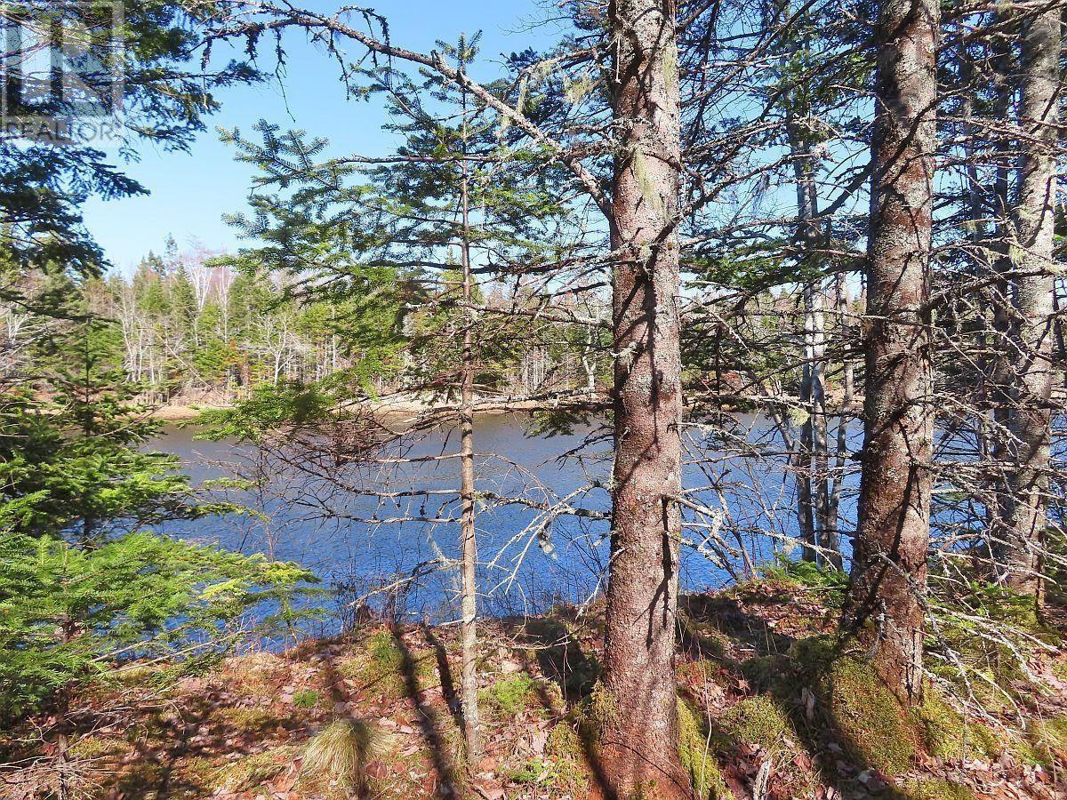 Lot5 Lower River Road Property Photo 23