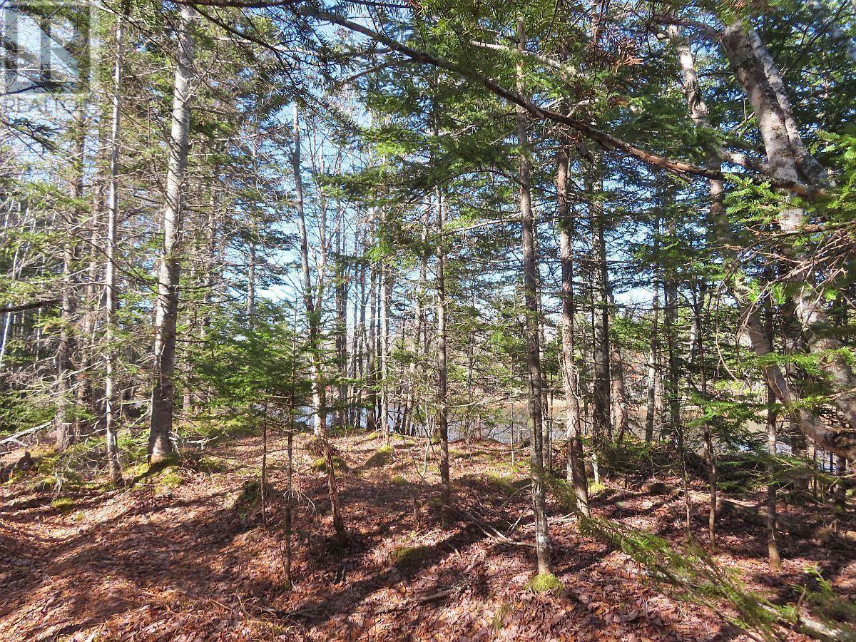 Lot5 Lower River Road Property Photo 24