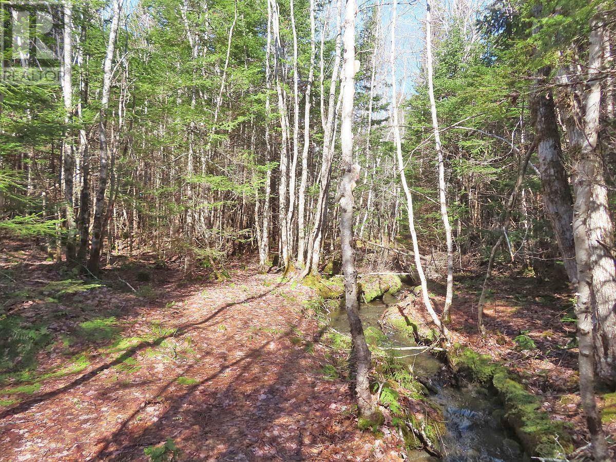 Lot5 Lower River Road Property Photo 25