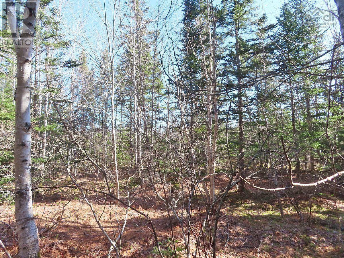Lot5 Lower River Road Property Photo 26