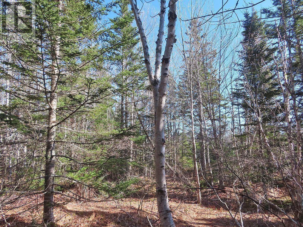 Lot5 Lower River Road Property Photo 27