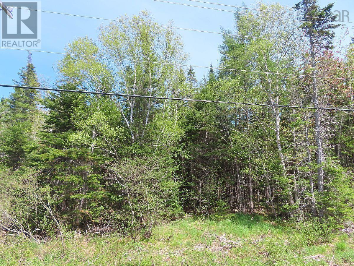 Lot5 Lower River Road Property Photo 29