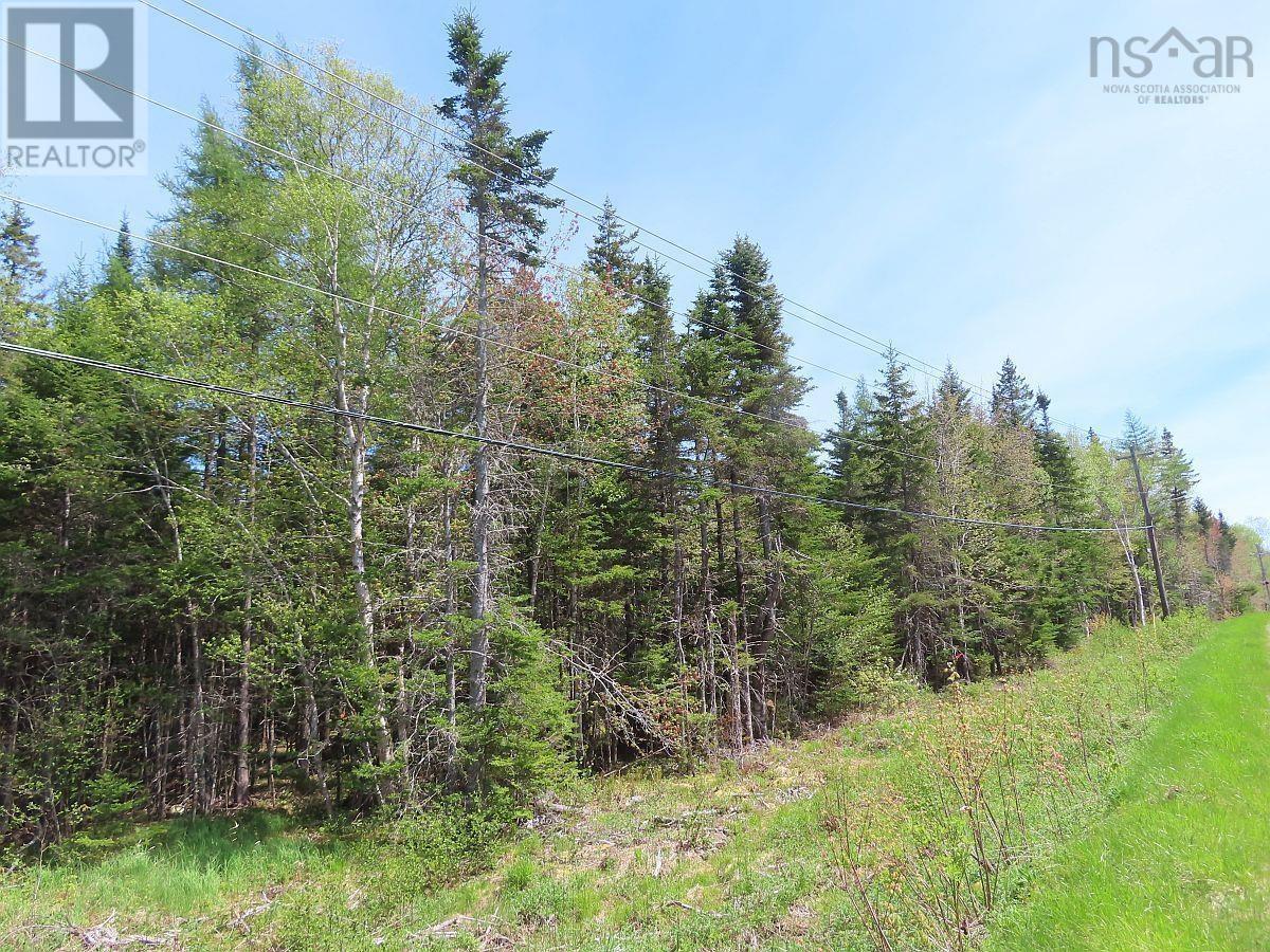 Lot5 Lower River Road Property Photo 30