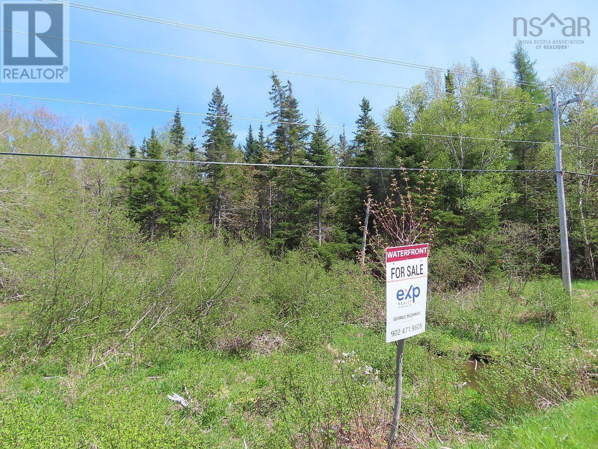 Lot5 Lower River Road Property Photo 31