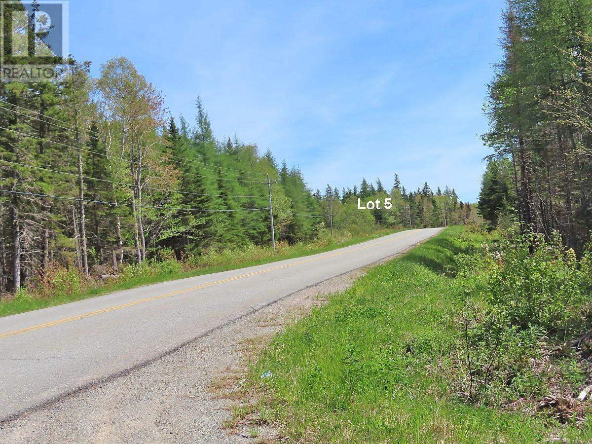 Lot5 Lower River Road Property Photo 32