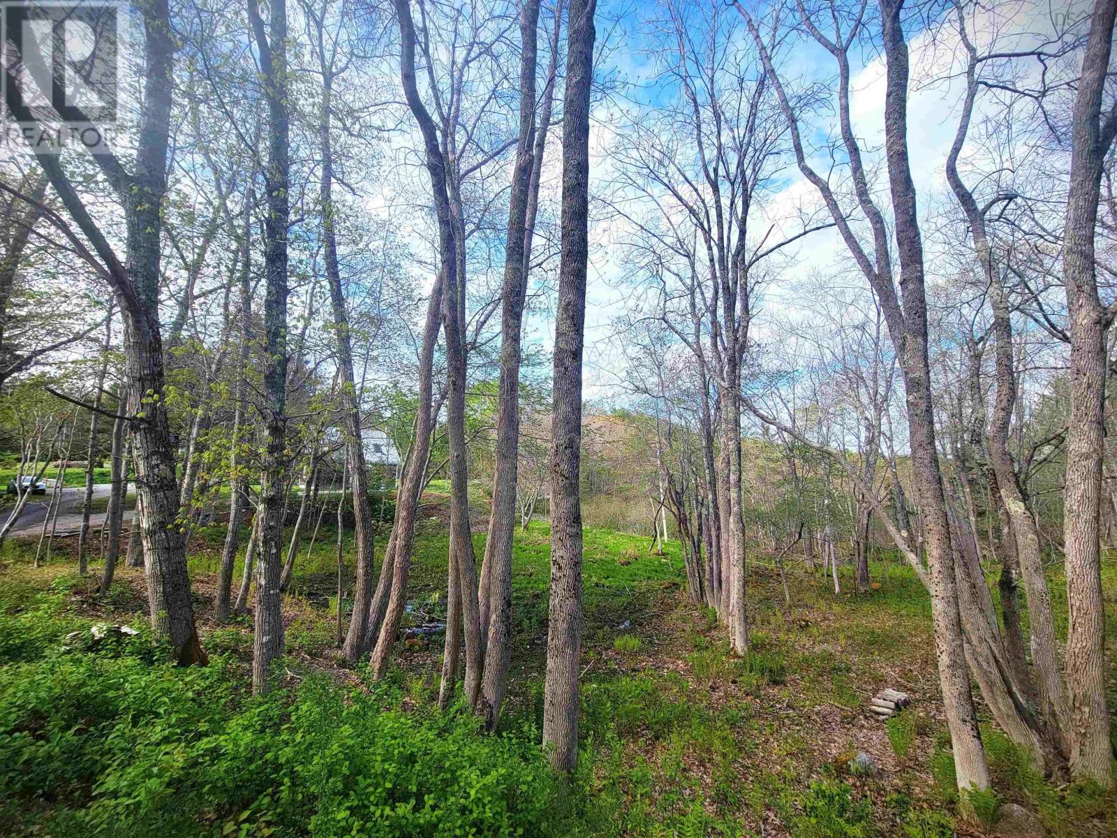 8471 Highway 3 Property Photo 12