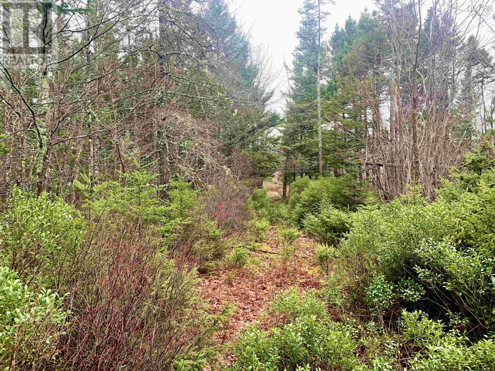 2.3 Acres Highway 308, Tusket Property Photo 1
