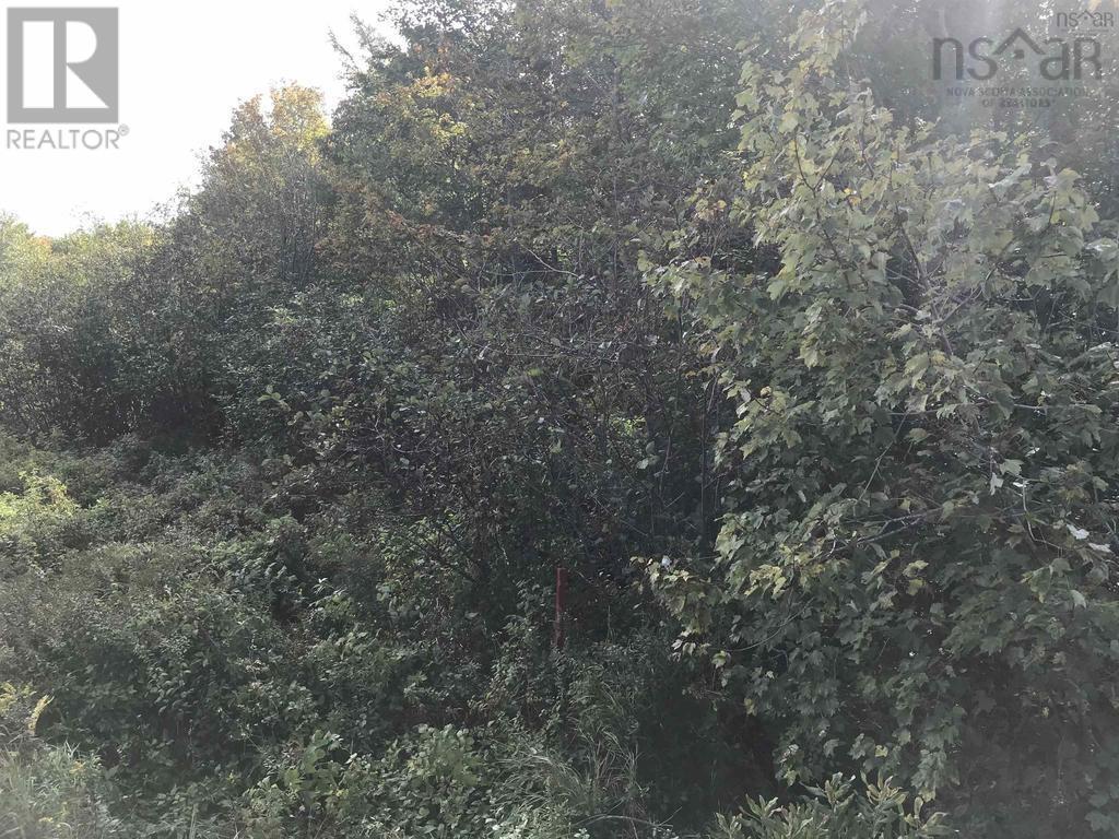 2.3 Acres Highway 308, Tusket Property Photo 5