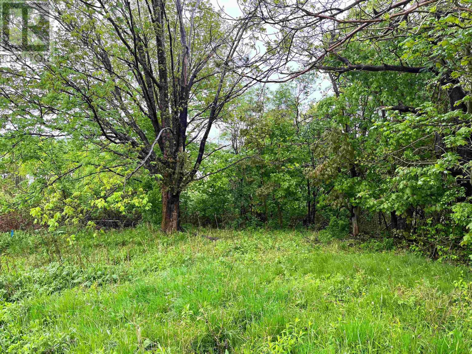Lot 8 Creighton Street Property Photo 5