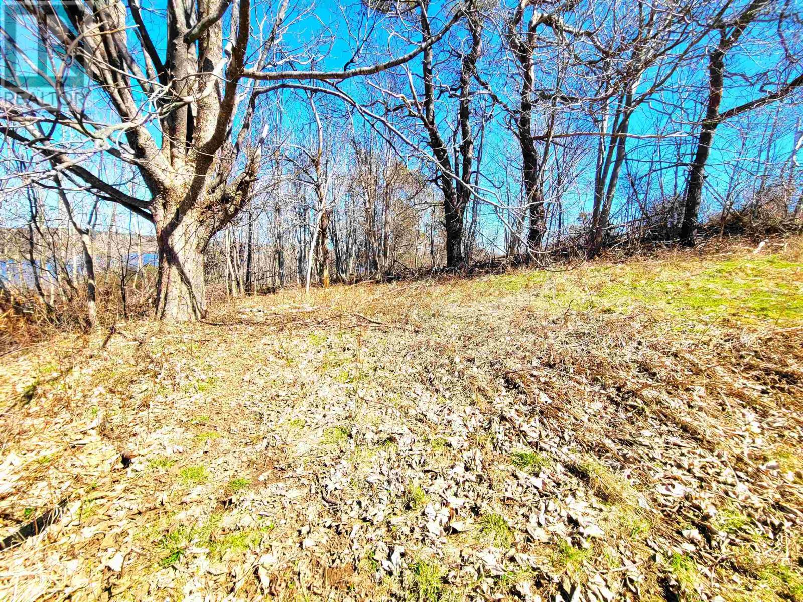 Lot 8 Creighton Street Property Photo 8