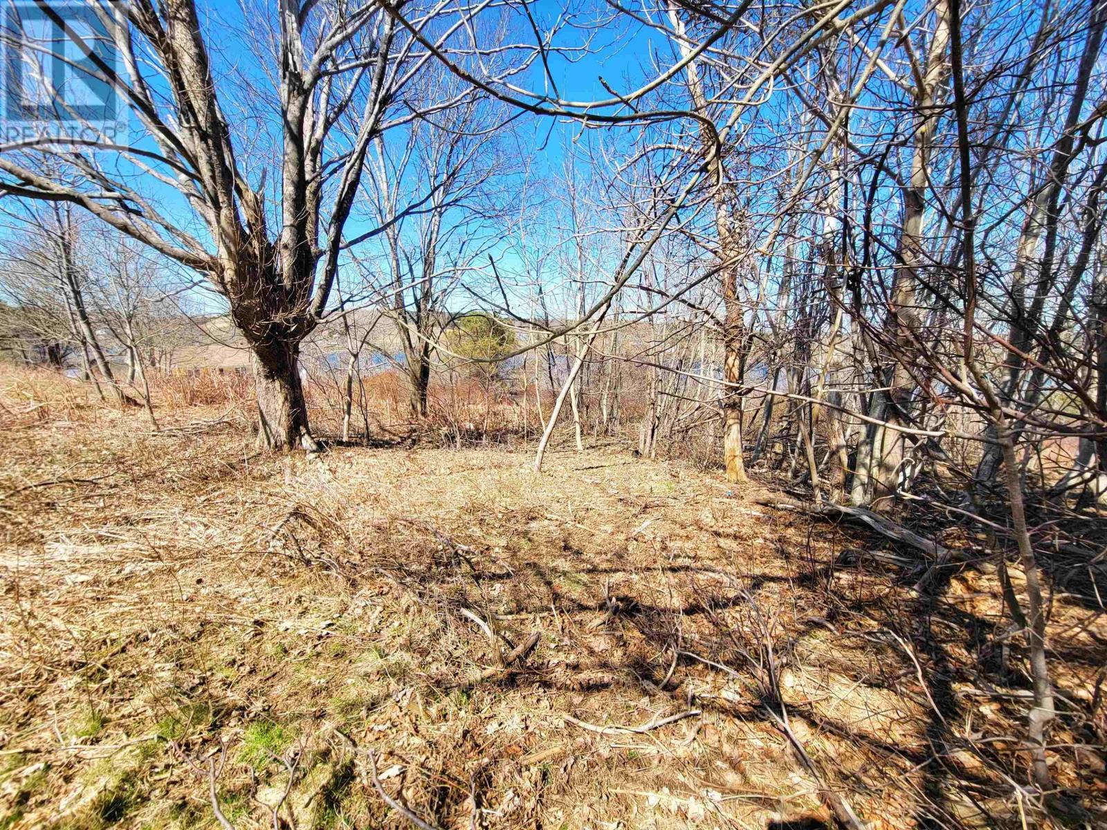 Lot 8 Creighton Street Property Photo 13