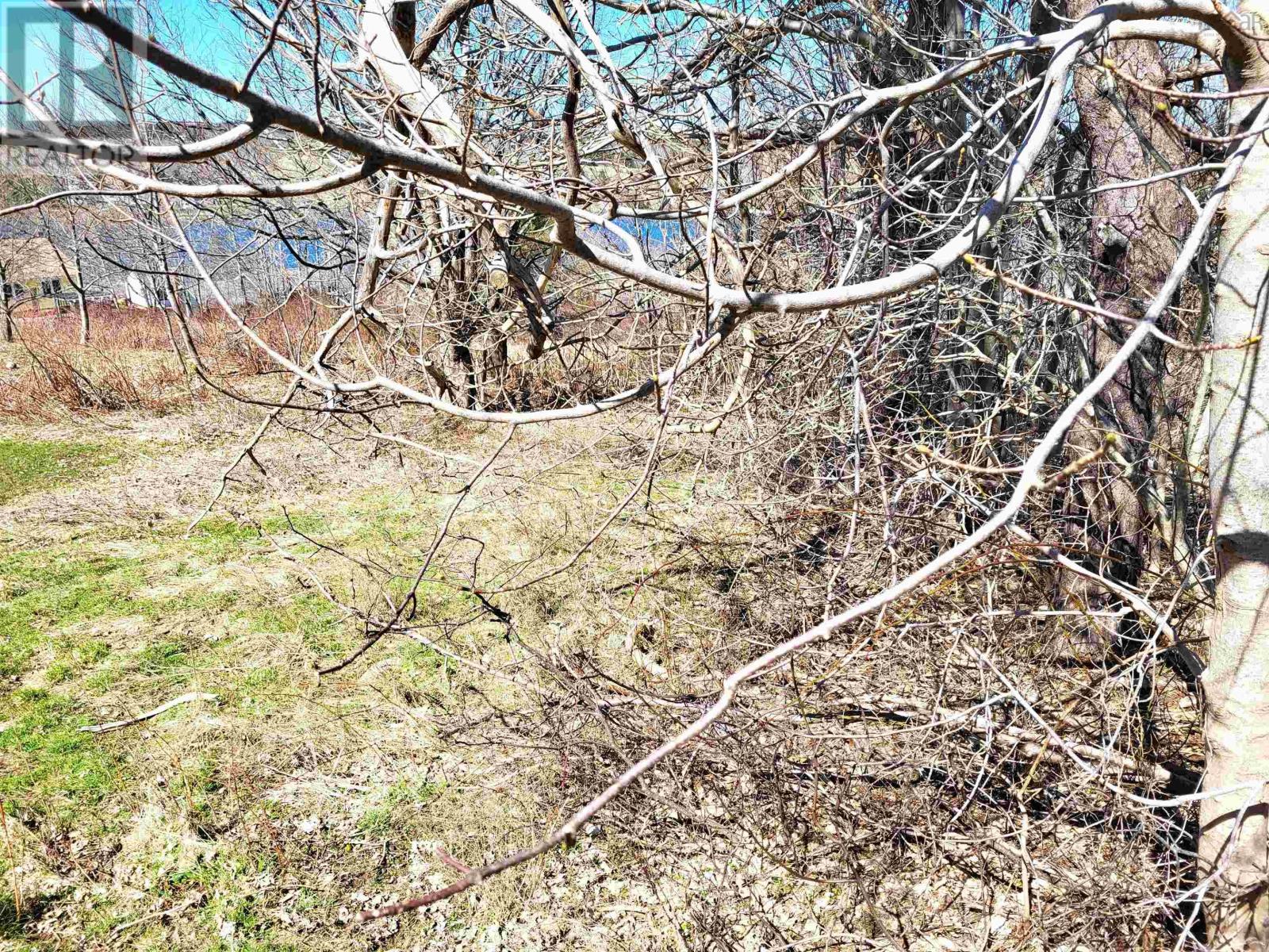 Lot 8 Creighton Street Property Photo 15