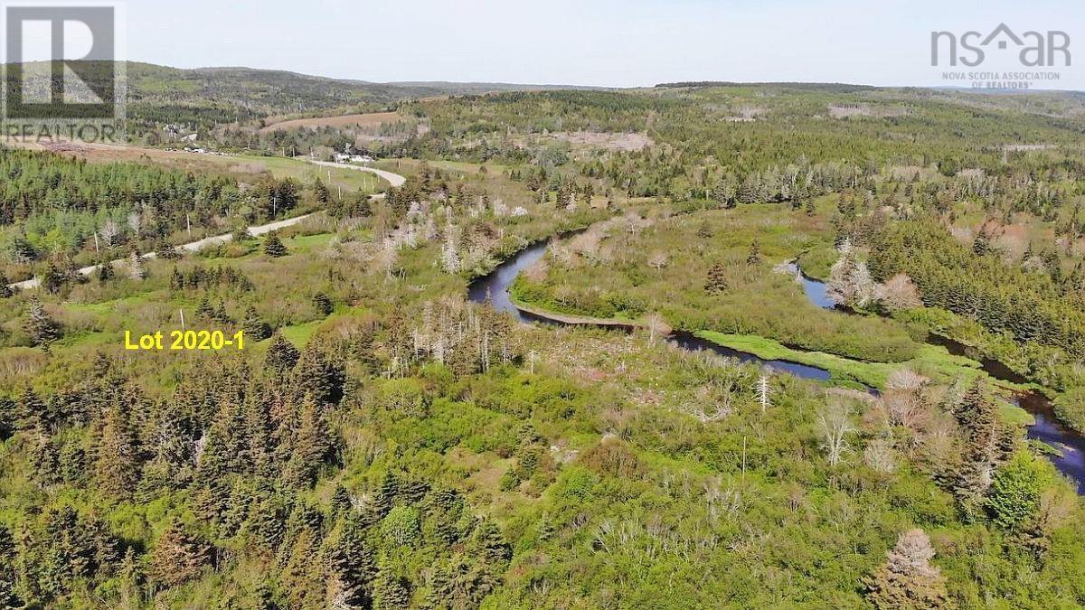 4.8 Acres Salmon River Lake Road Property Photo 3