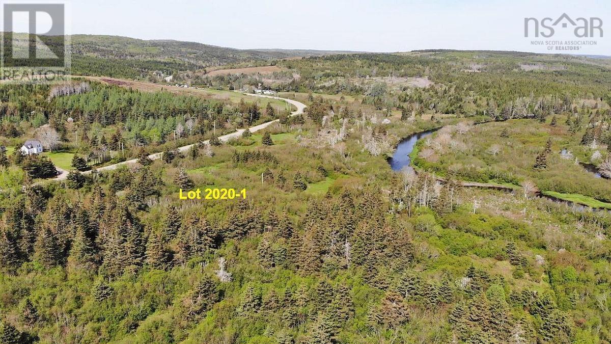 4.8 Acres Salmon River Lake Road Property Photo 4