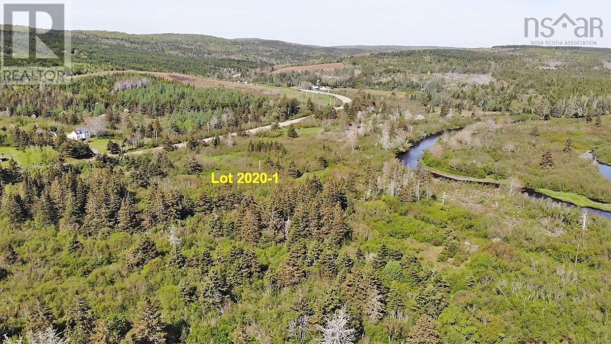 4.8 Acres Salmon River Lake Road Property Photo 6