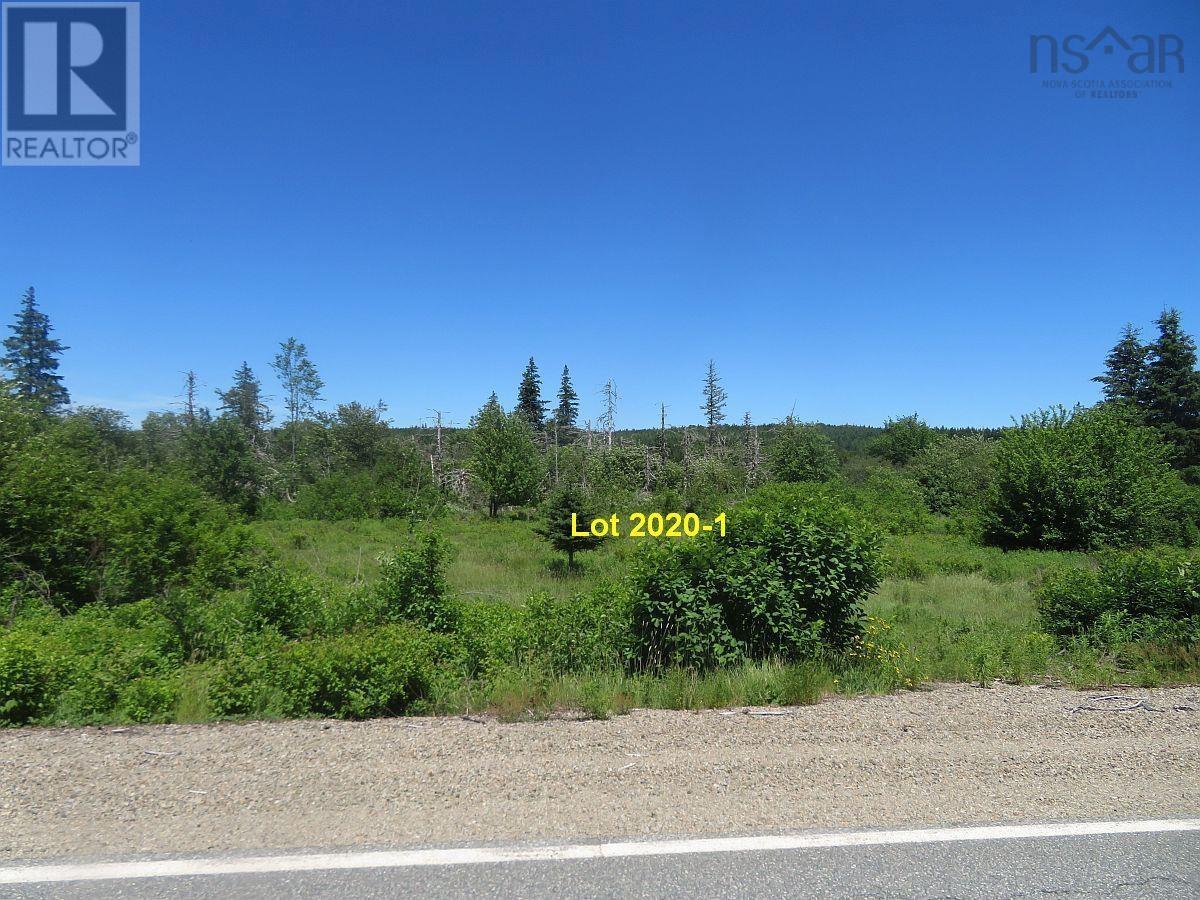 4.8 Acres Salmon River Lake Road Property Photo 9