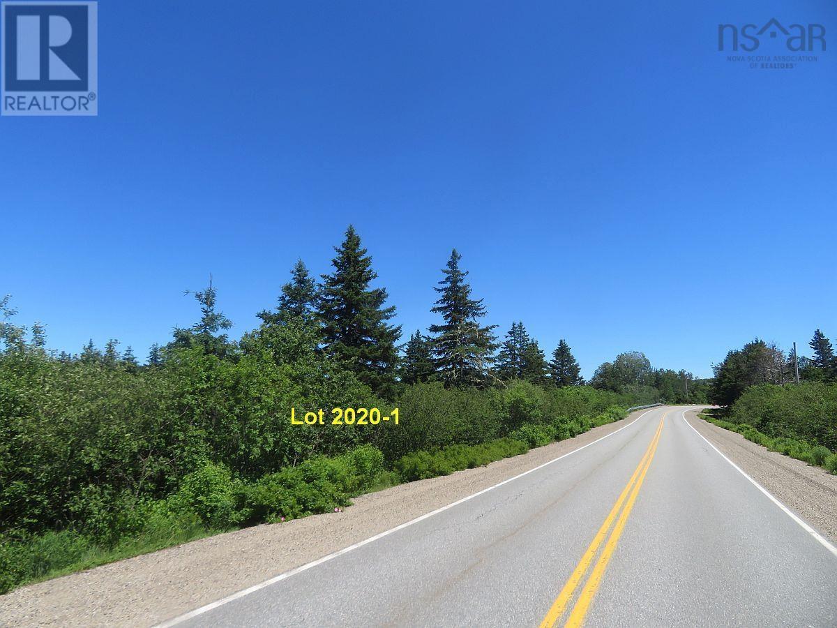 4.8 Acres Salmon River Lake Road Property Photo 10
