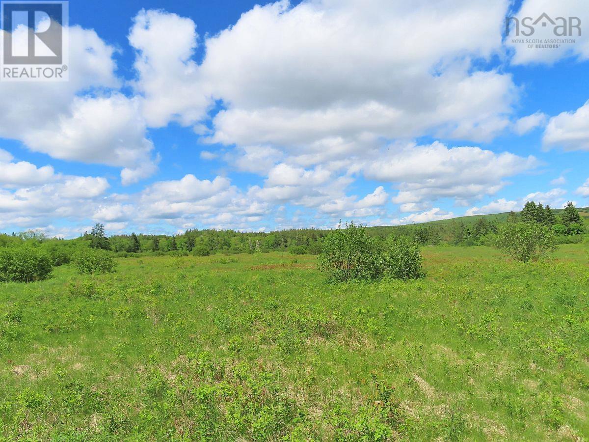 62 Acres West Side Road Property Photo 1