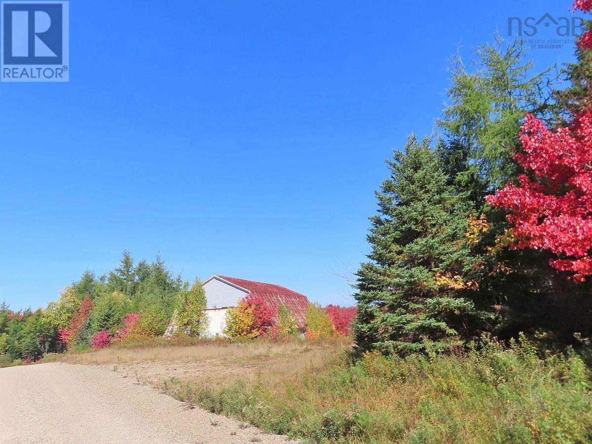 62 Acres West Side Road Property Photo 1
