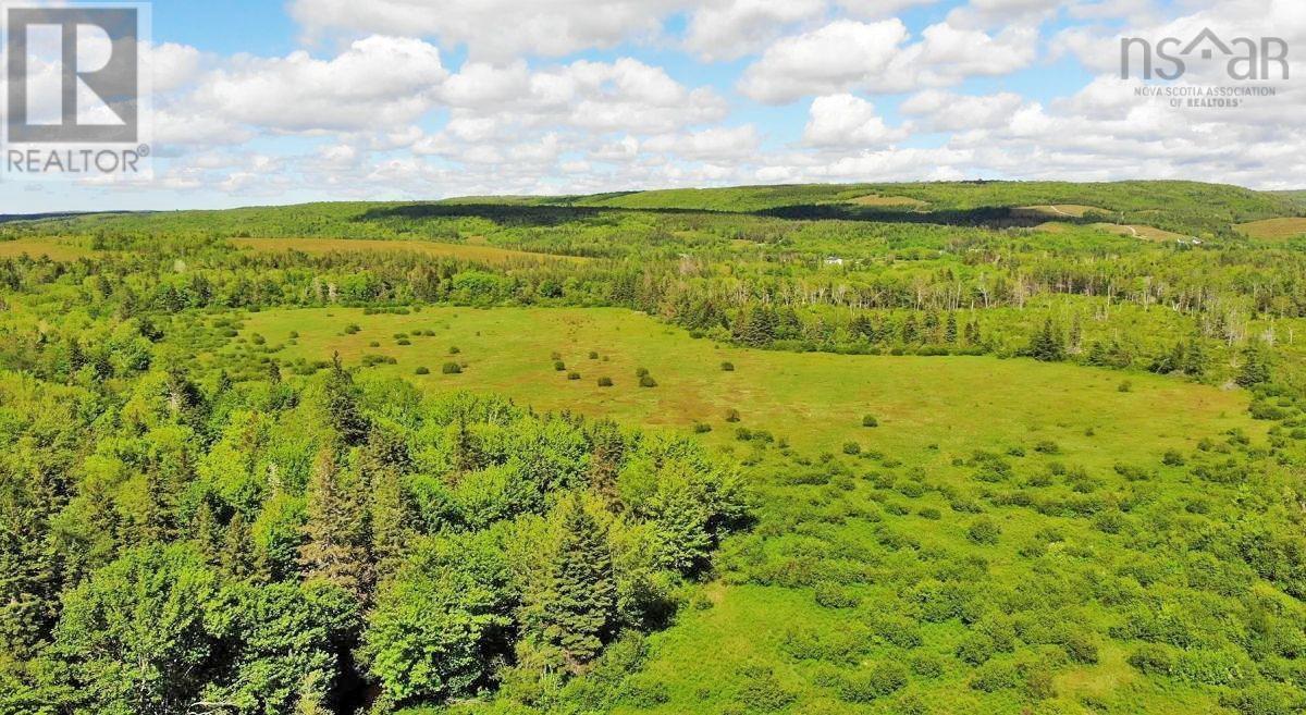 62 Acres West Side Road Property Photo 2