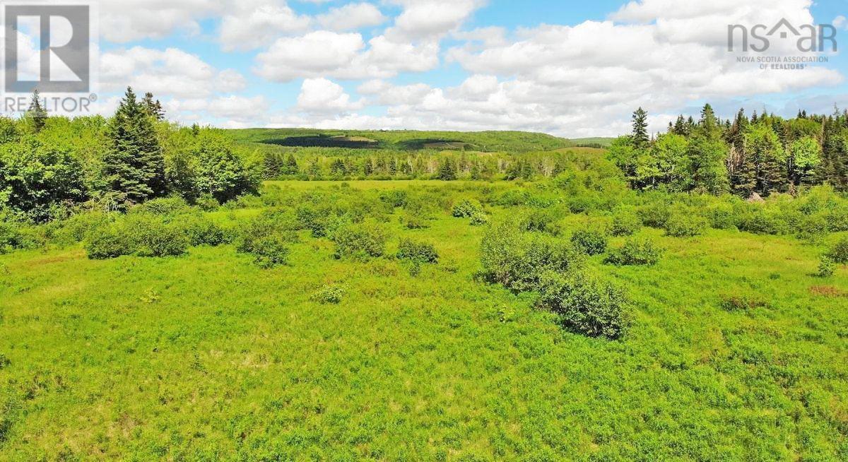 62 Acres West Side Road Property Photo 3