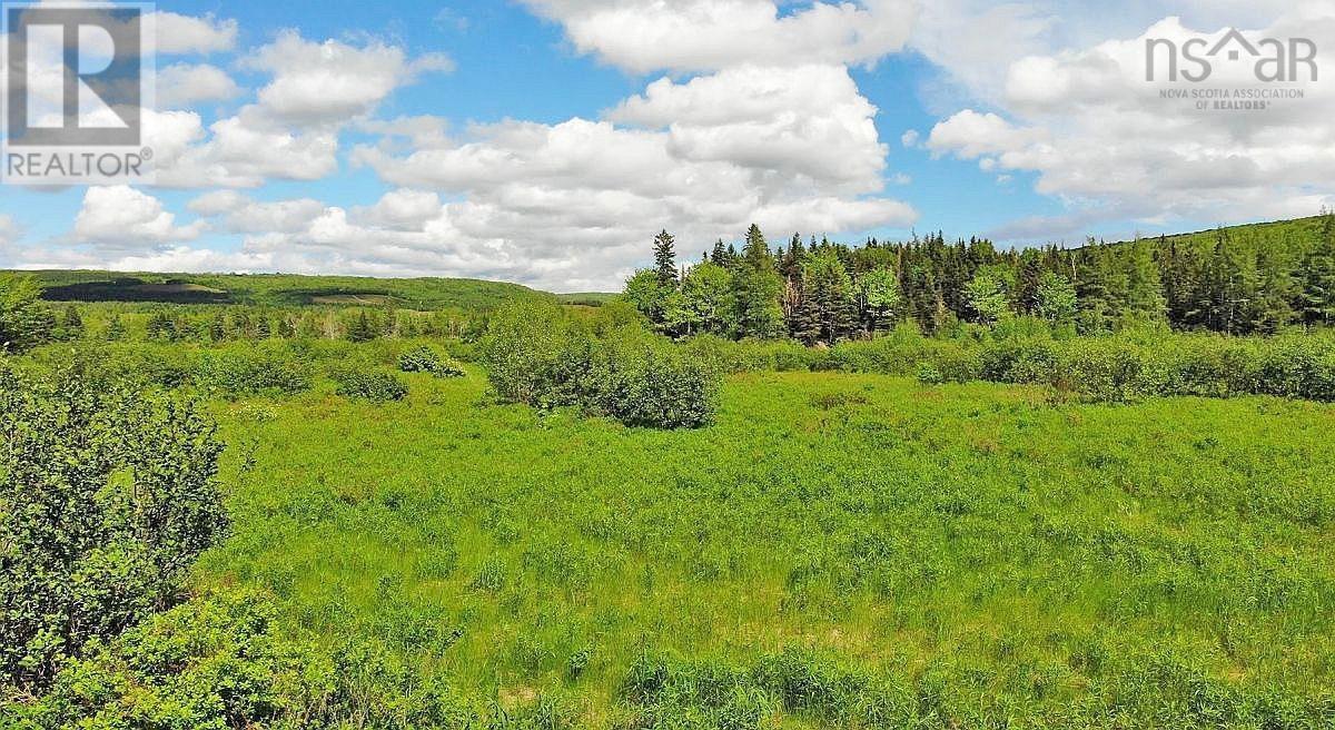 62 Acres West Side Road Property Photo 4