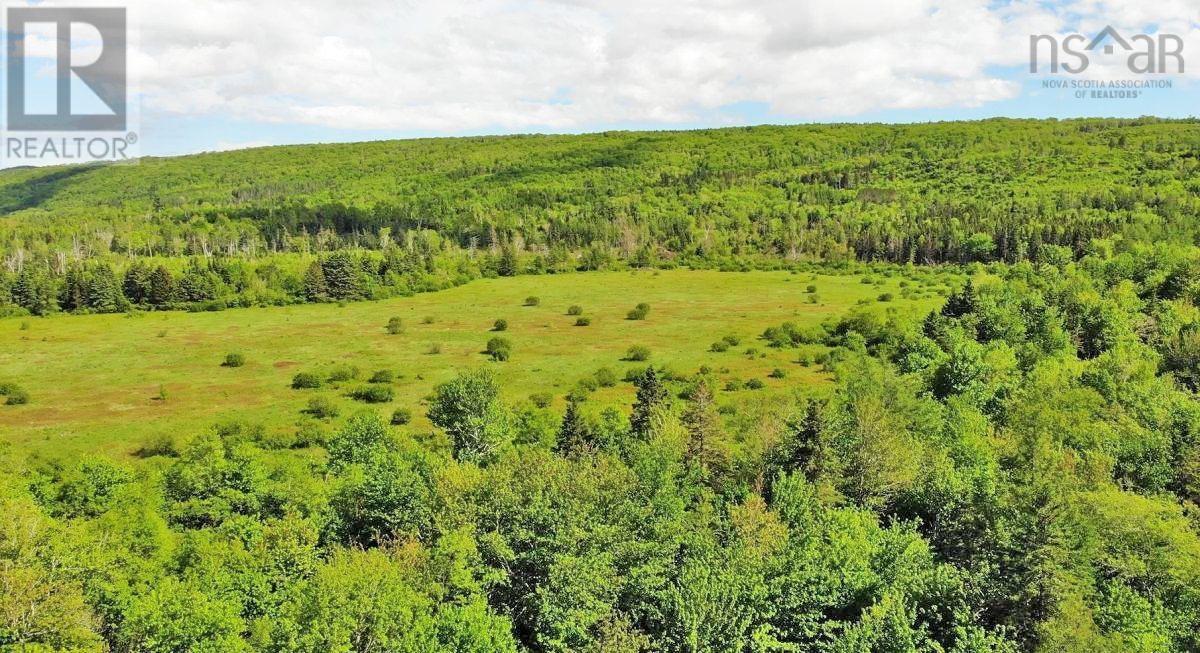 62 Acres West Side Road Property Photo 8