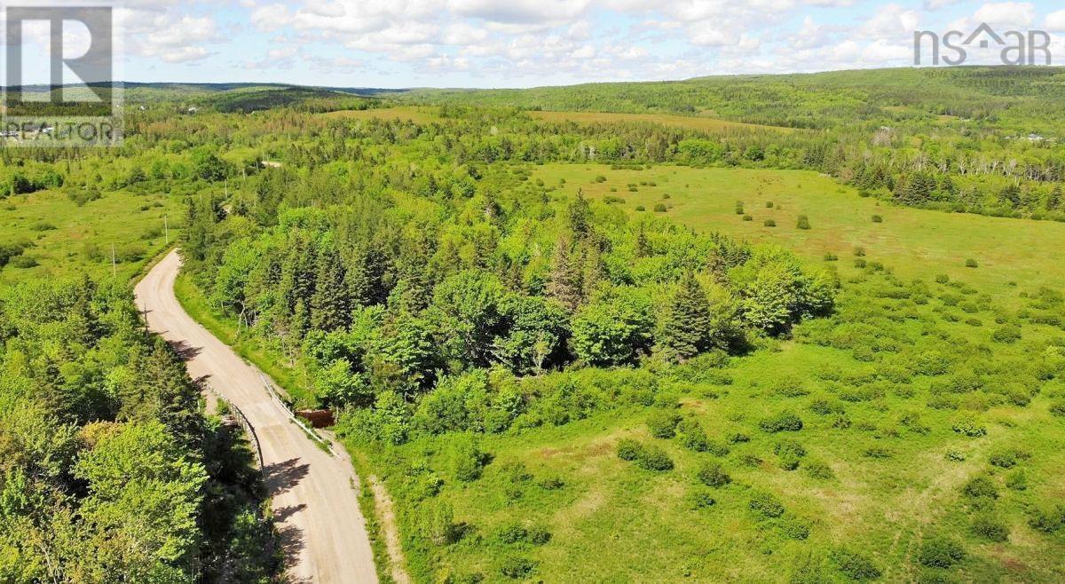 62 Acres West Side Road Property Photo 9