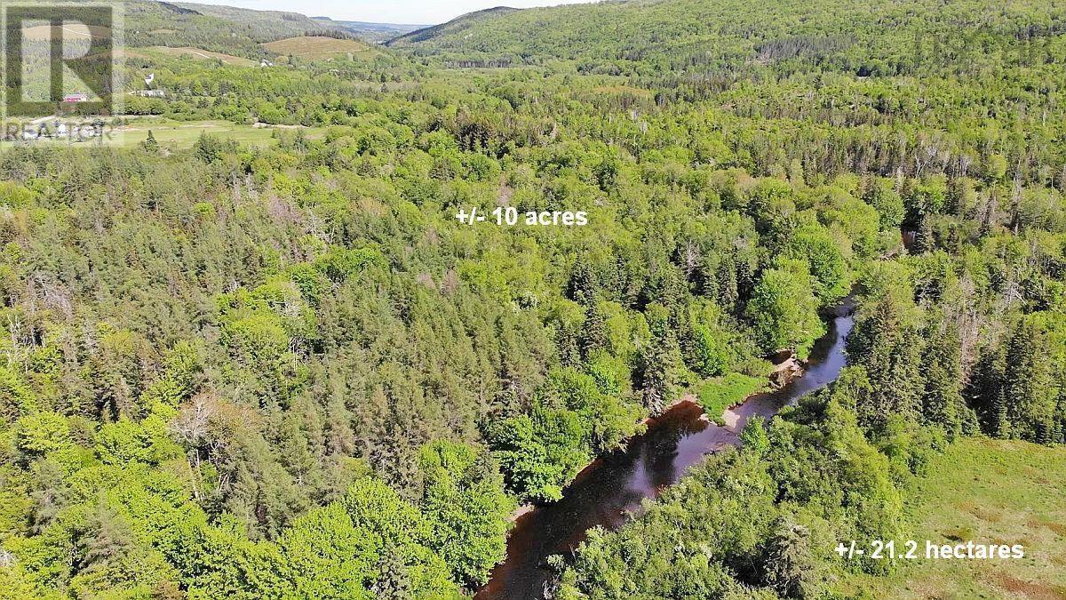 62 Acres West Side Road Property Photo 10
