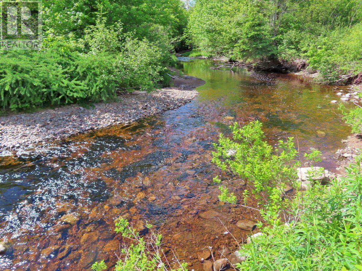62 Acres West Side Road Property Photo 14