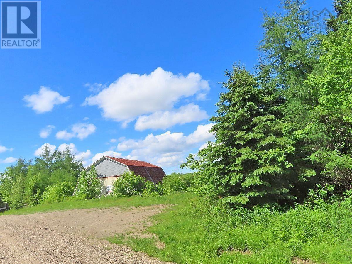 62 Acres West Side Road Property Photo 21
