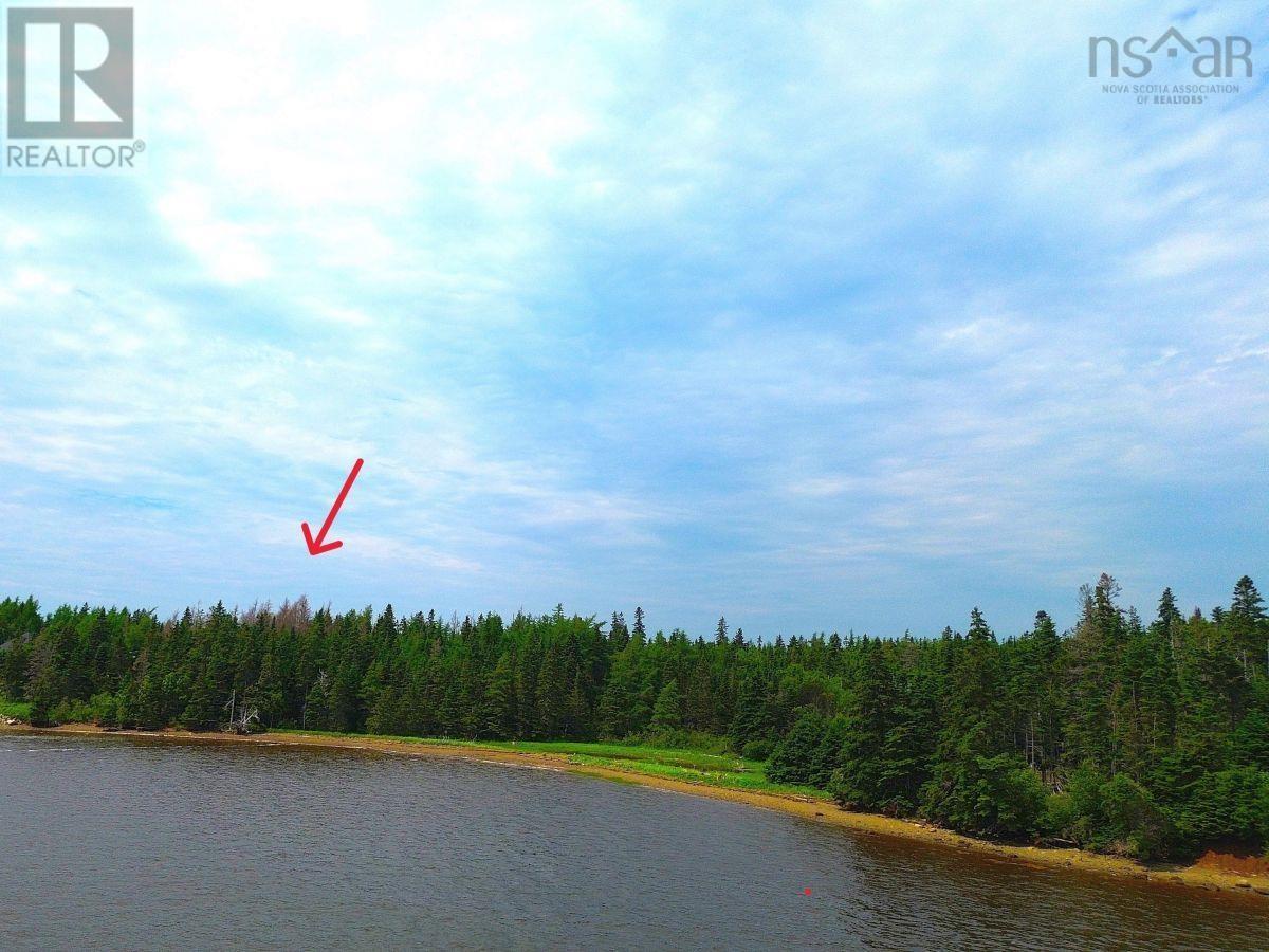 Lot 1 241 Walkerville Road Property Photo 4