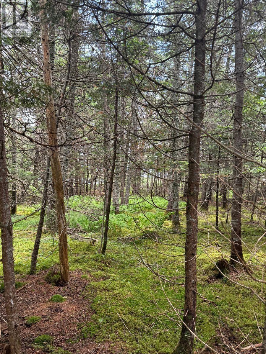 Lot 1 241 Walkerville Road Property Photo 22