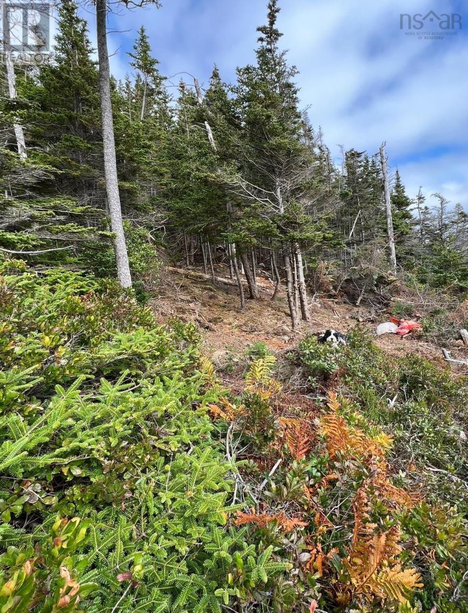 Lots Lower Lahave Road Property Photo 10
