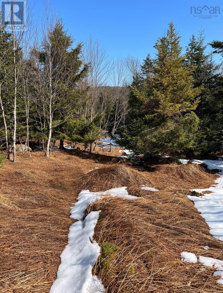 Lots Lower Lahave Road Property Photo 12