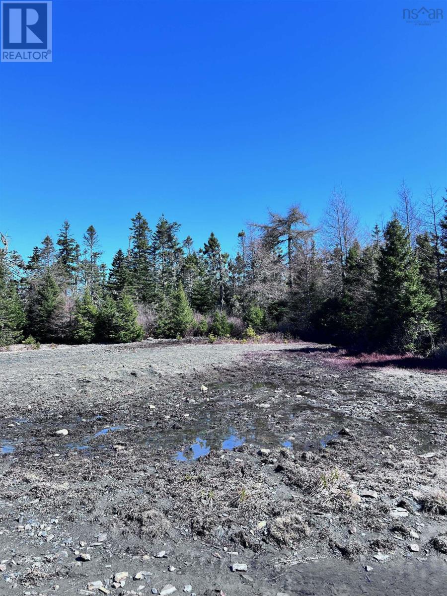Lots Lower Lahave Road Property Photo 16