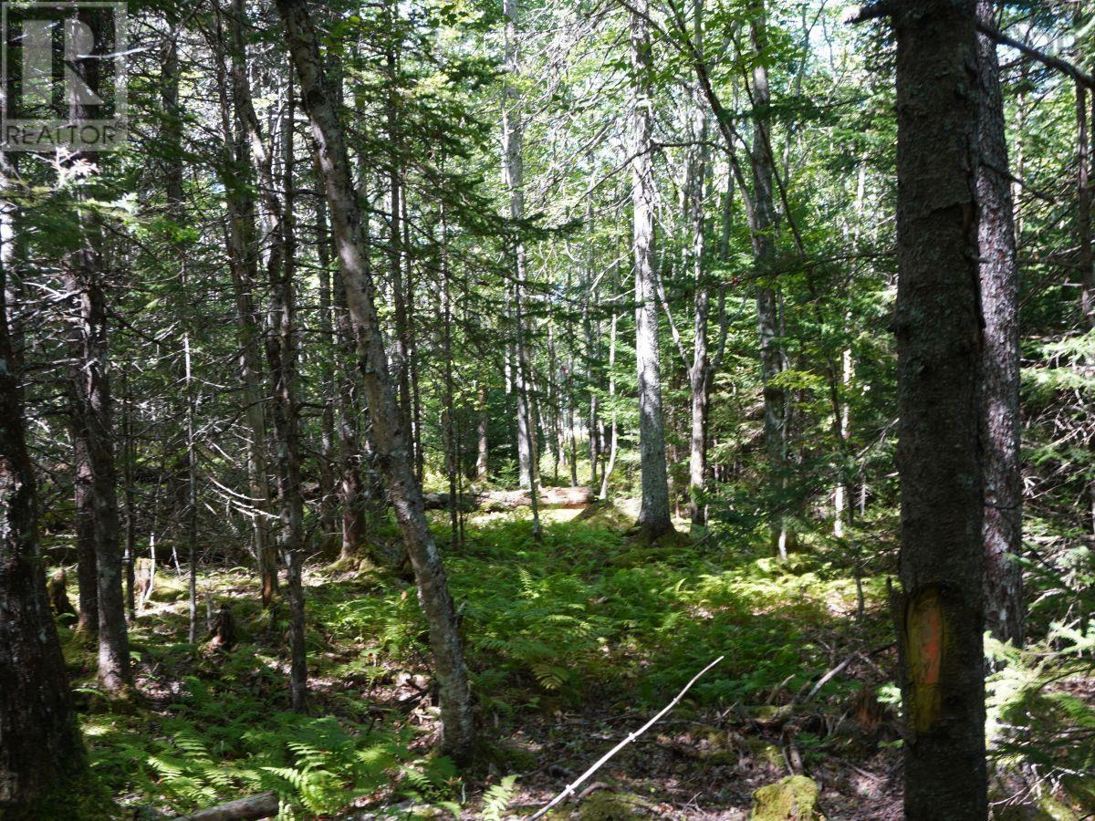 Lot 20 Golden Shore Lane Property Photo 2
