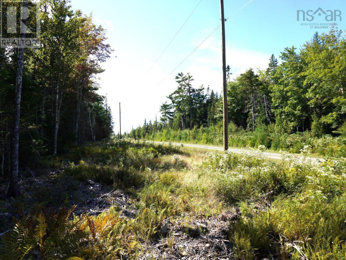 Lot 20 Golden Shore Lane Property Photo 5